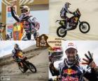 Cyril Despres motosiklet 2013 Dakar şampiyonu